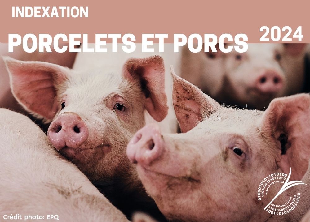 Informations complémentaires : INDEXATION 2024 - PORCELETS ET PORCS